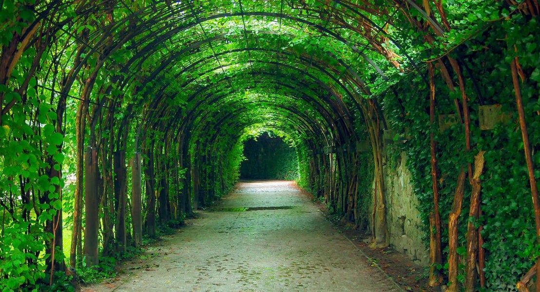 Interflora i Salzburg